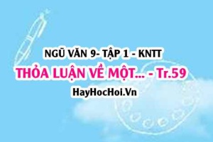 Soạn bài Thảo luận về một vấn đề đáng quan tâm trong đời sống phù hợp với lứa tuổi trang 59 lớp 9 Kết nối tri thức